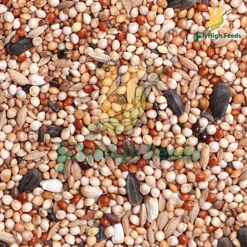 FlyHigh Feeds product image-3