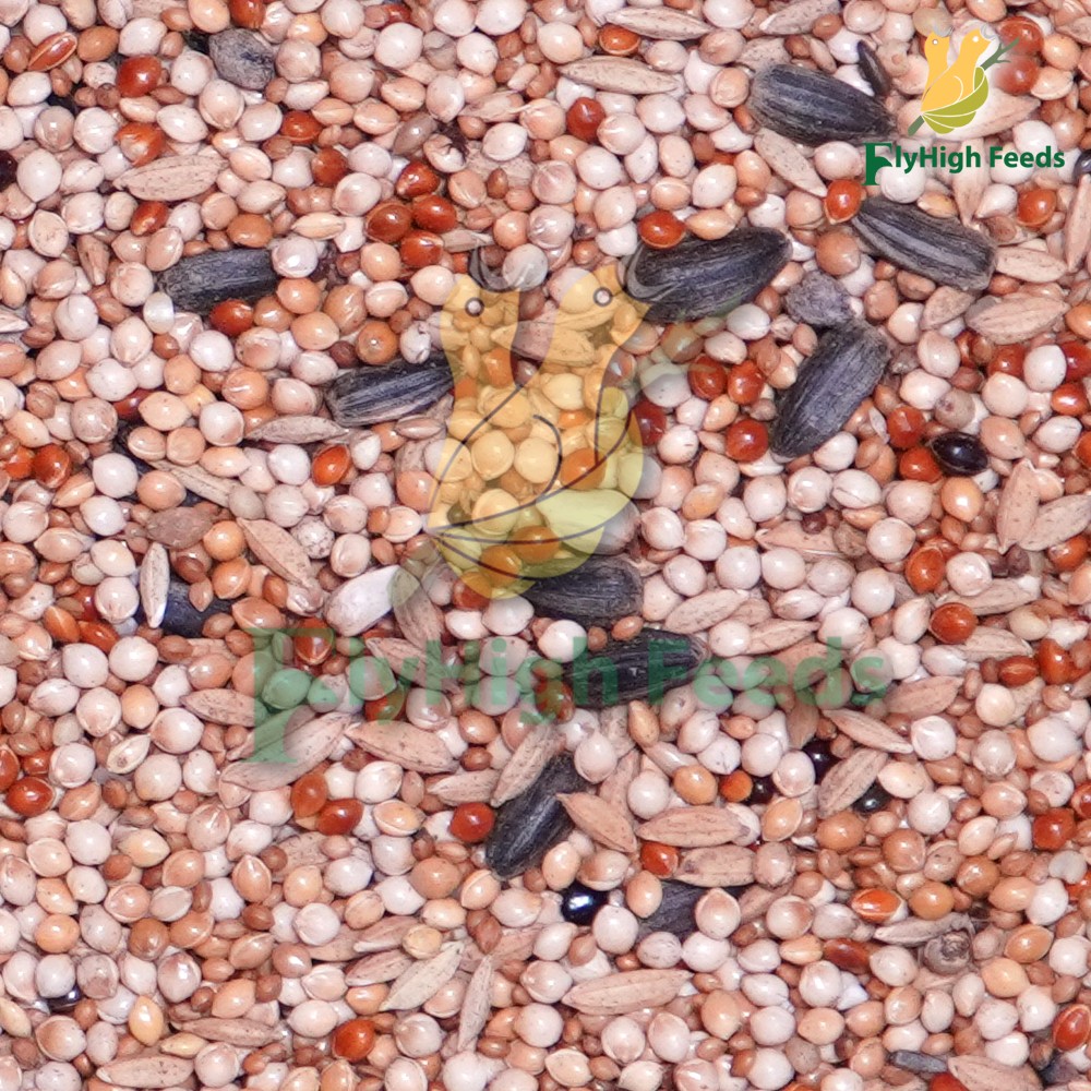 FlyHigh Feeds product image-3